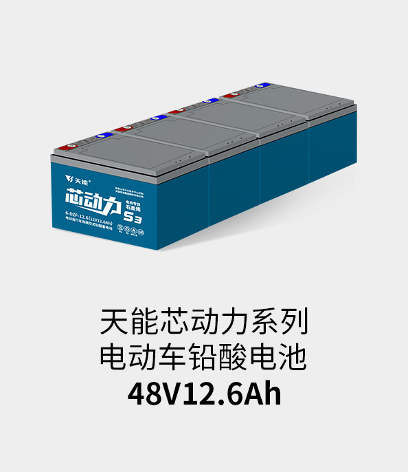 GA黄金甲电池48v12ah
