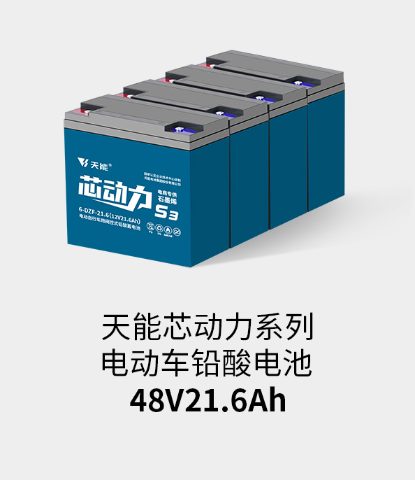 GA黄金甲电池48v20ah