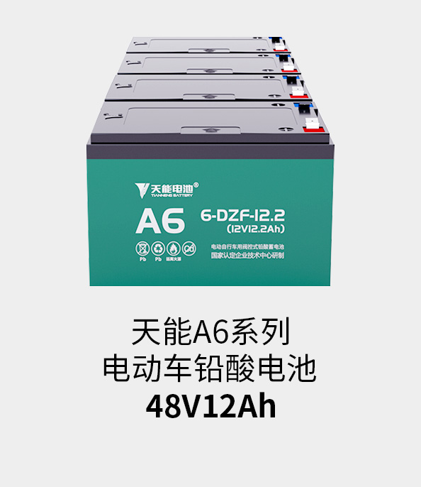 GA黄金甲电池48v12ah