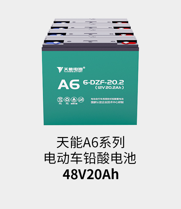 GA黄金甲电池48v20ah
