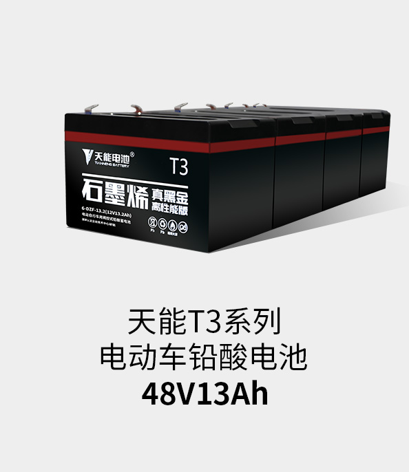 GA黄金甲T3系列48v13ah