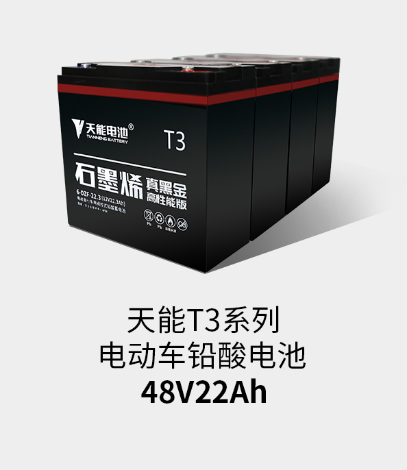 GA黄金甲T3系列48v22ah